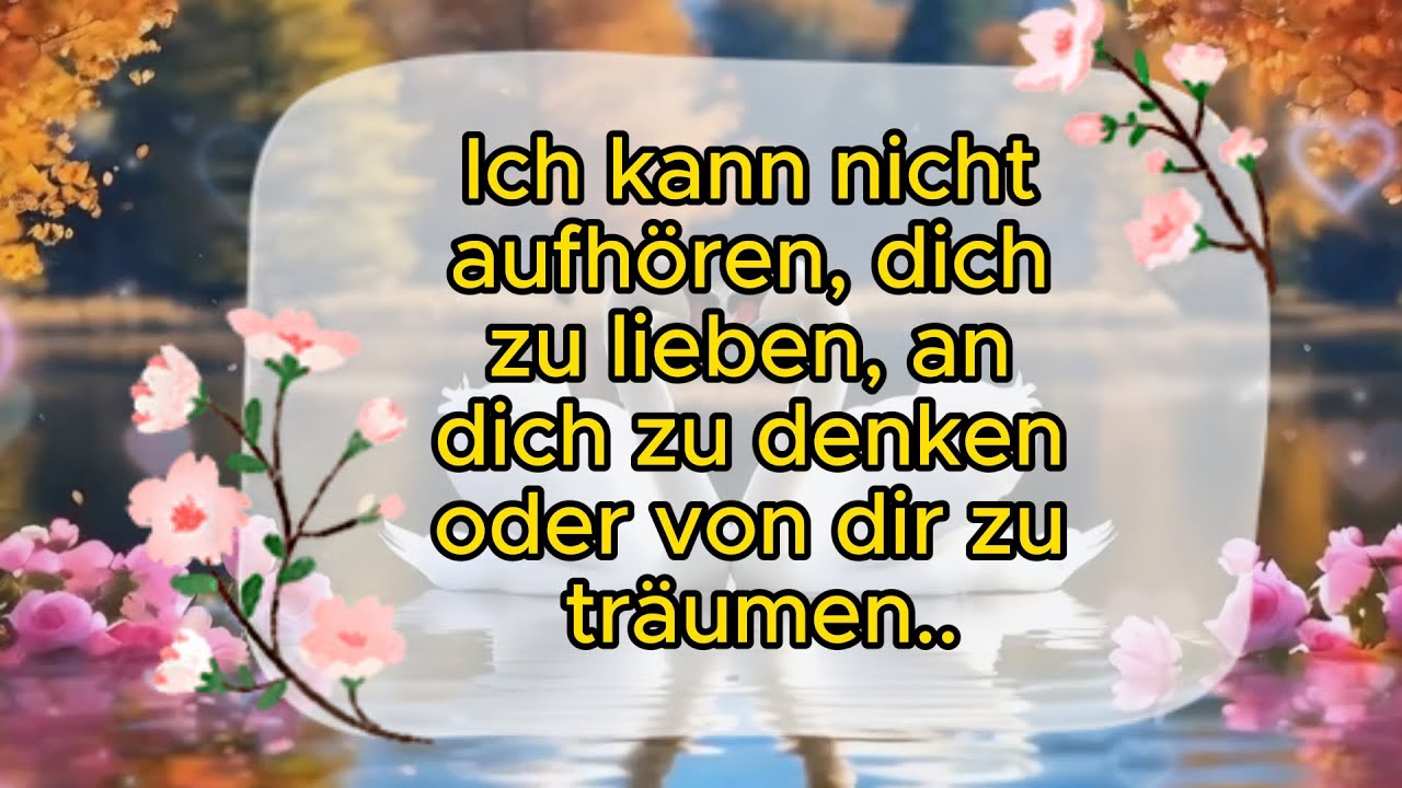 💘 Botschaften der Liebe/ Hast du mich gebeten, meine Gefühle auszudrücken, also los geht's