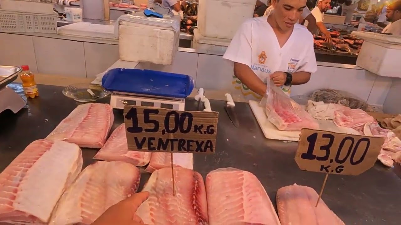 Feira Manaus Moderna: o paraíso dos peixes da Amazônia