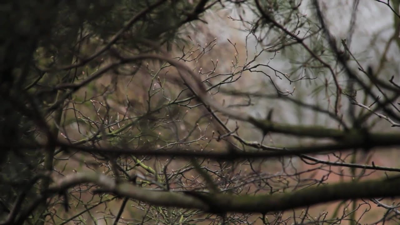Ja en amen (korte film)