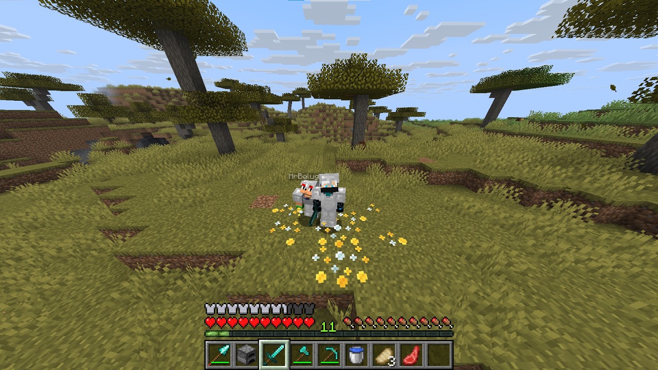I'm The smallest player in this Minecraft server :)