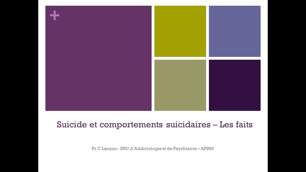 Suicide et comportements suicidaires (2.a) - les faits - Pr Christophe LANÇON