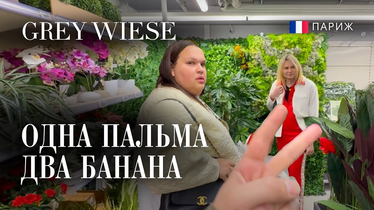 Приехали за пальмами