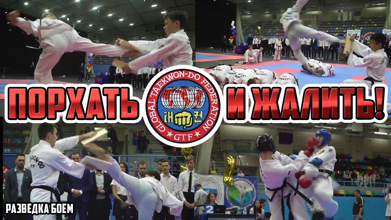 Тхэквондо ГТФ  Taekwondo GTF Порхать и жалить