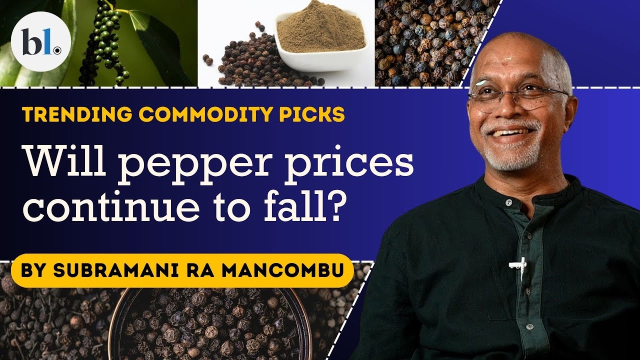 India&rsquo;s pepper market explained: Imports, prices & farmer impact | Trending Commodity Picks | Ep 47