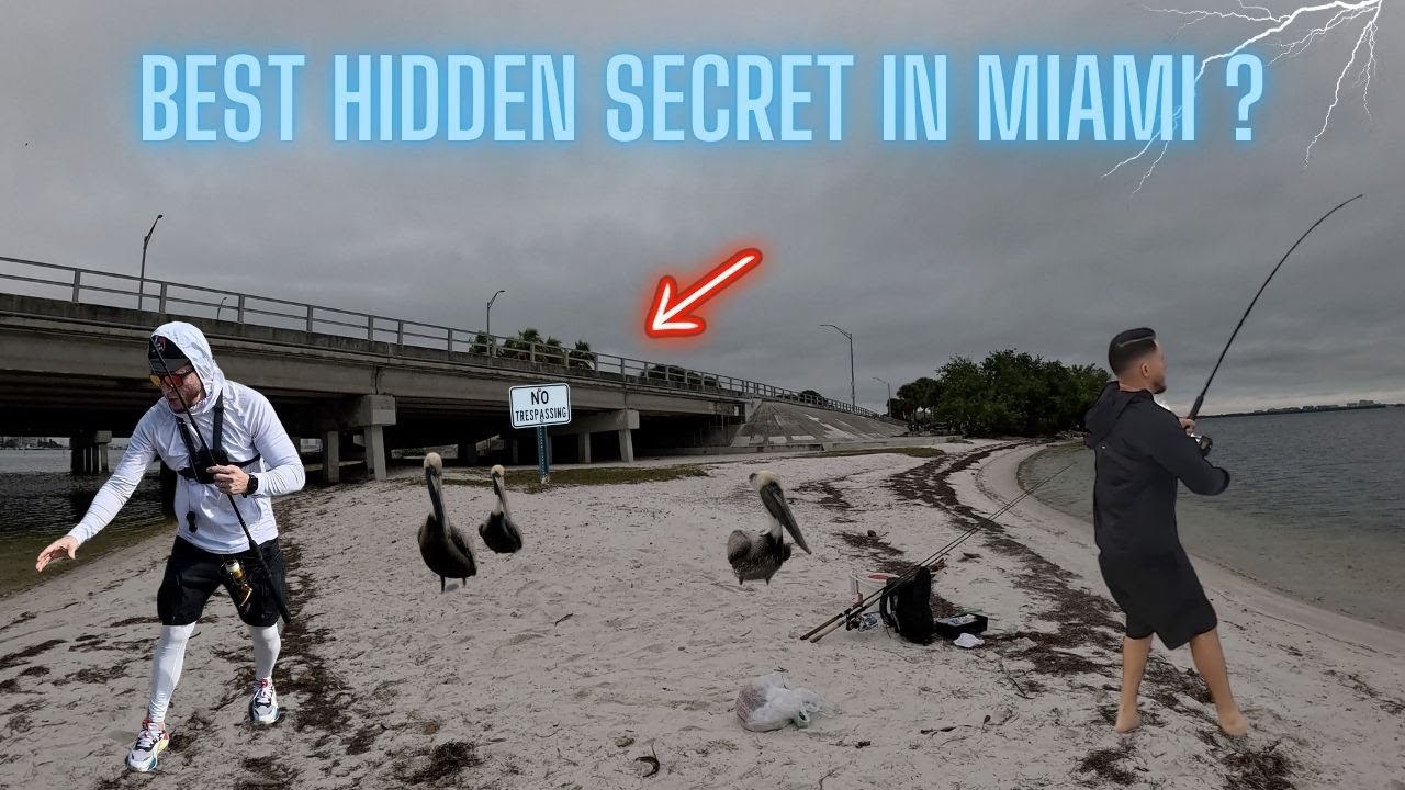 Discover the ONE ISLAND in MIAMI You Can Drive to Without a Boat