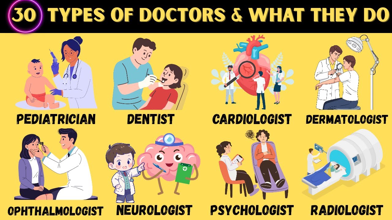 Doctors and What They Do / Types of Doctors & Their Jobs.