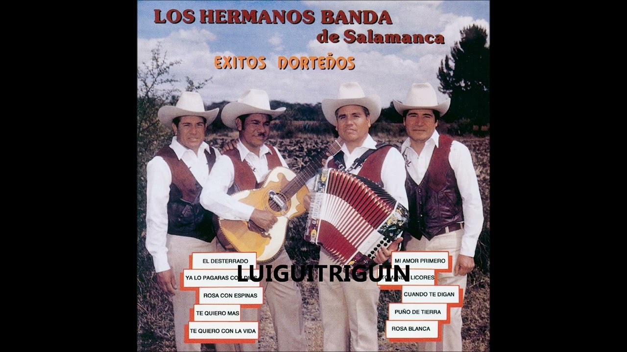 Los Hermanos Banda De Salamanca Mix De Puras Buenas