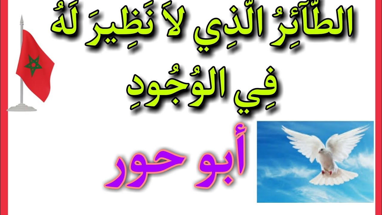 الطّآئرُ الّذي لاَ نظيرَ لهُ في الوُجُودِ.@الرَّآئِدَةُفِيالرَّوْحَانِيَا