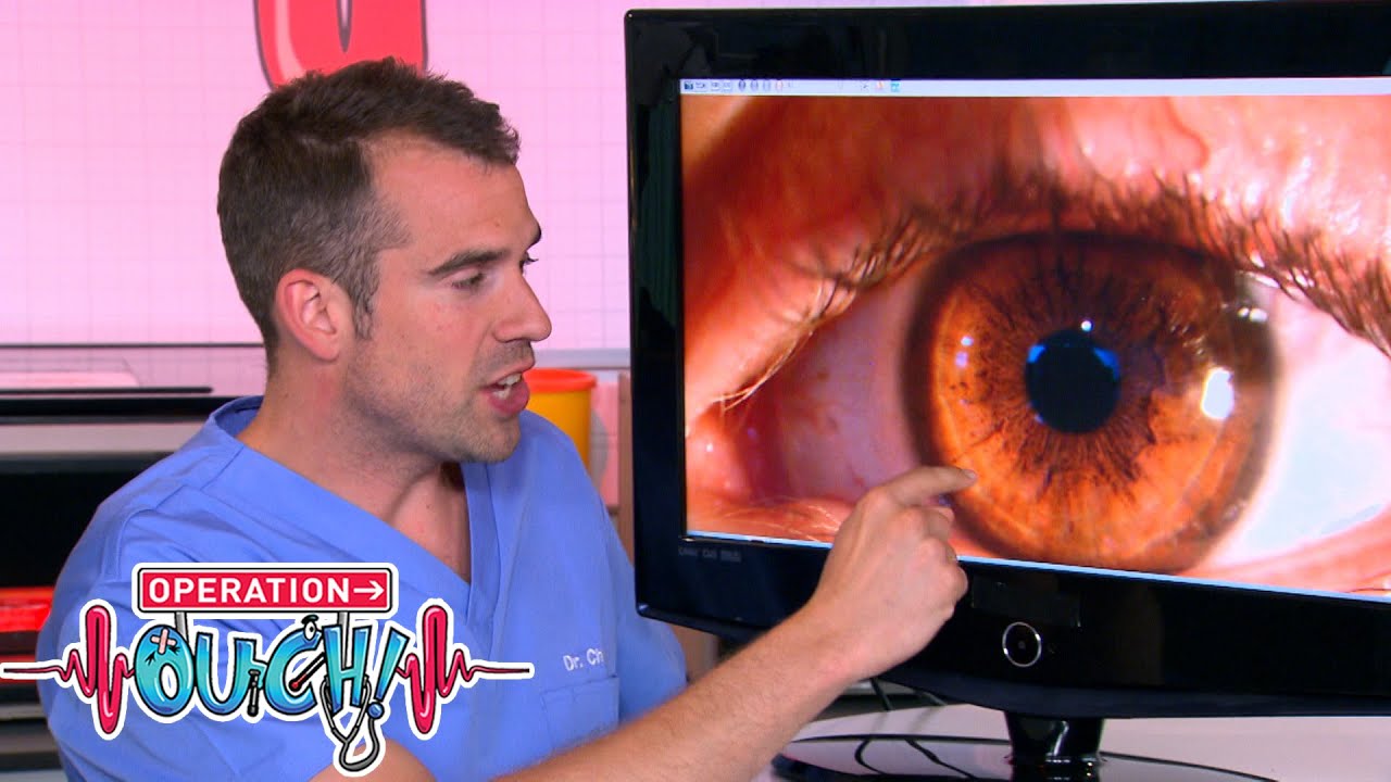 A Pig's Eye Has a Lens Inside. | #Clip | TV Show for Kids | Operation Ouch