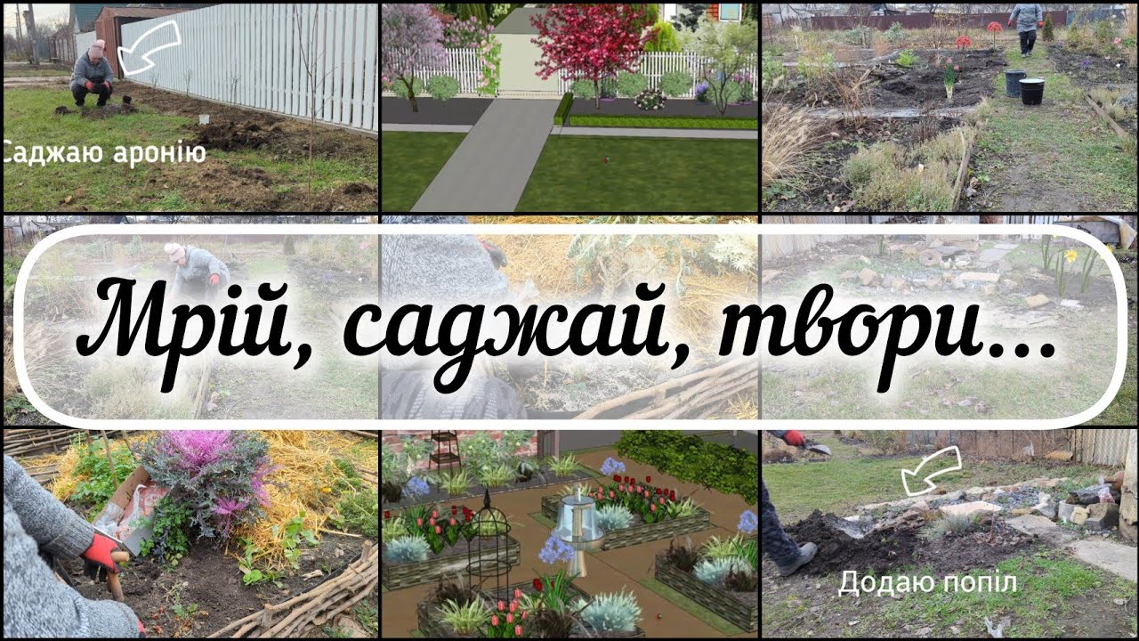Посадки в грудні🙄 - аронія, троянда та цибулькові🥀🌱🌷Моя мотивація та візуалізація квітників.