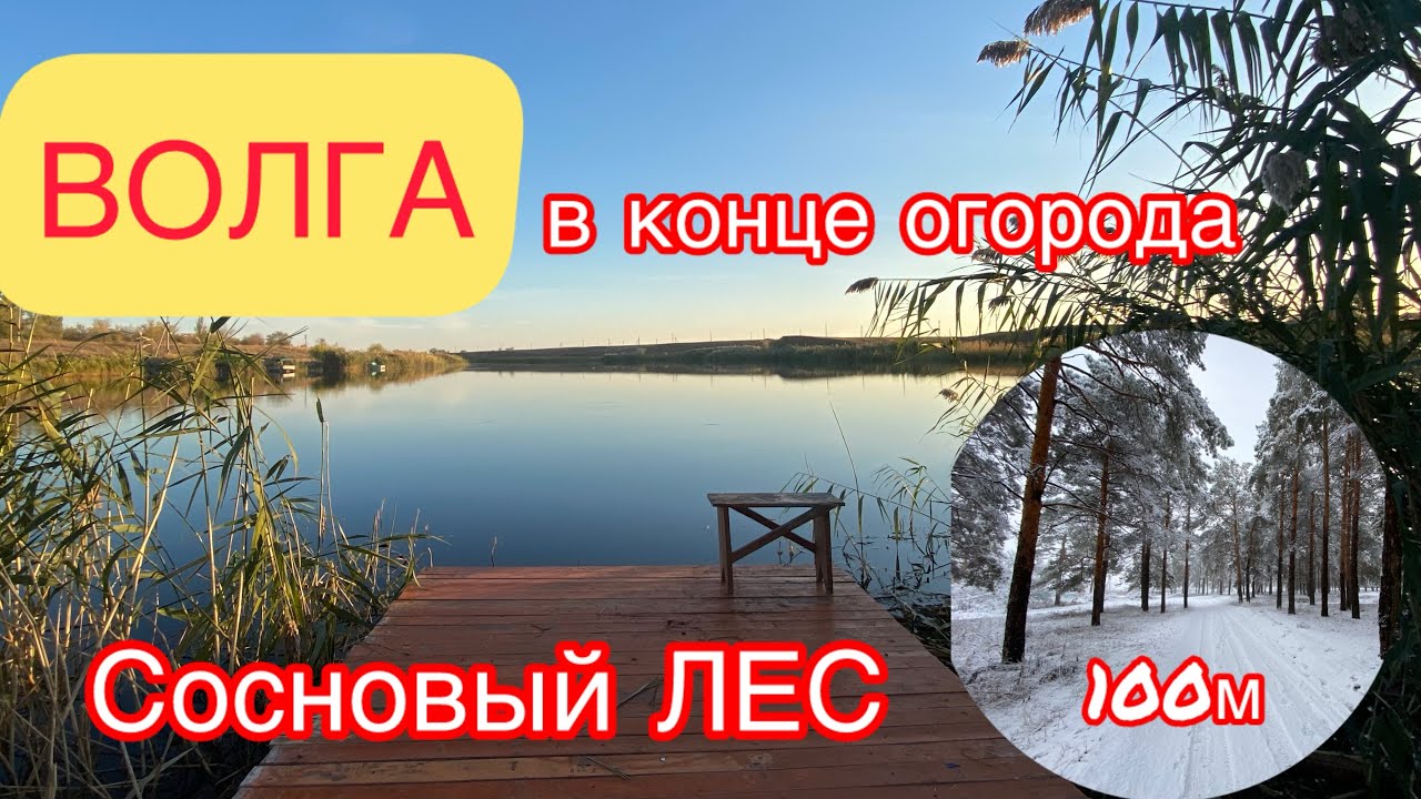 ДОМ НА ЮГЕ / ПЕРВАЯ БЕРЕГОВАЯ ЛИНИИ / 100м ОТ ЛЕСА | ЦЕНА 1.900млн₽ | ОБЗОР ДОМА НА БЕРЕГУ ВОЛГИ