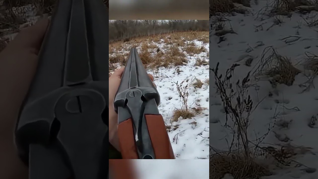 wild boar hunt  no escape  from the hunt 🐗😱😱😨 