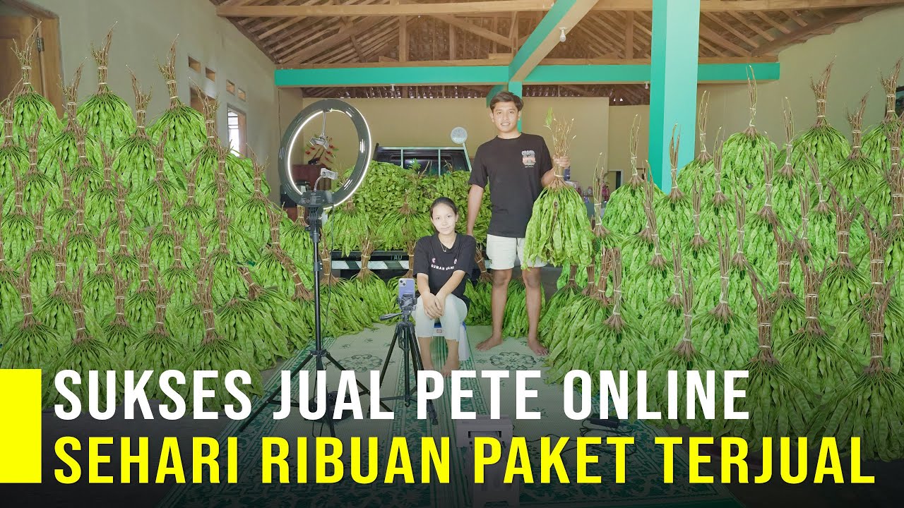 Pasangan Muda Sukses Jual Petai Online Ribuan Paket Terjual Tiap Hari