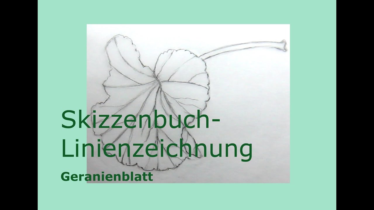 Zeichnen Bleistift botanisch Geranien Blatt Grafit Skizzenbuch Linien Zeichnung Transparentpapier