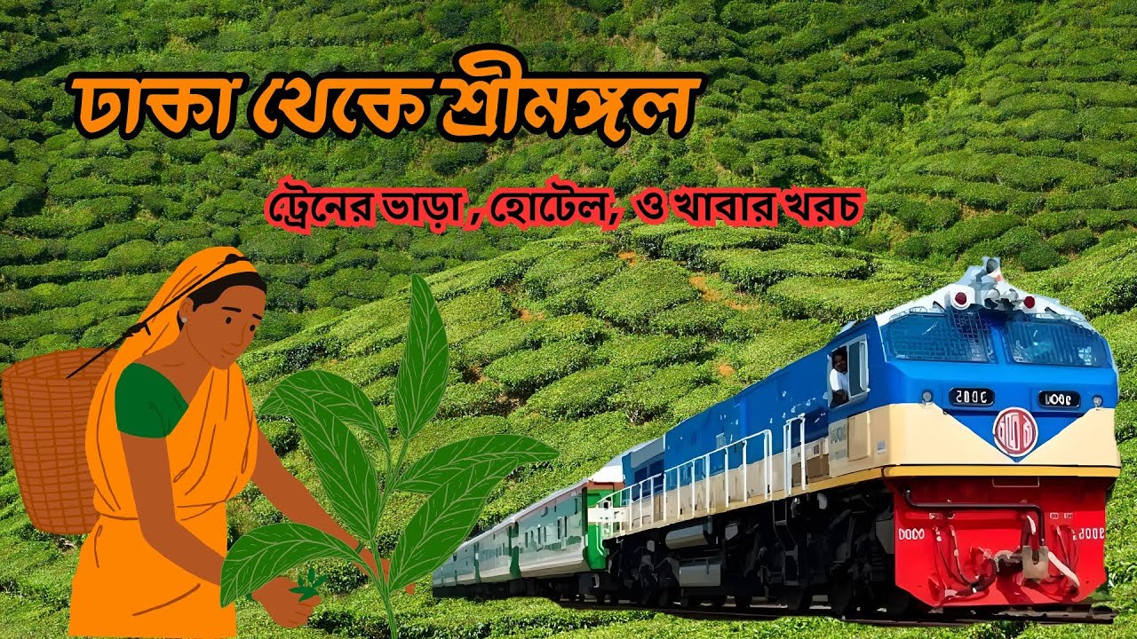 শ্রীমঙ্গল ভ্রমণ  ঢাকা থেকে যাওয়া, বধ্যভূমি, বিটিআরআই, ৭ রঙের চা  Srimangal Travel Vlog