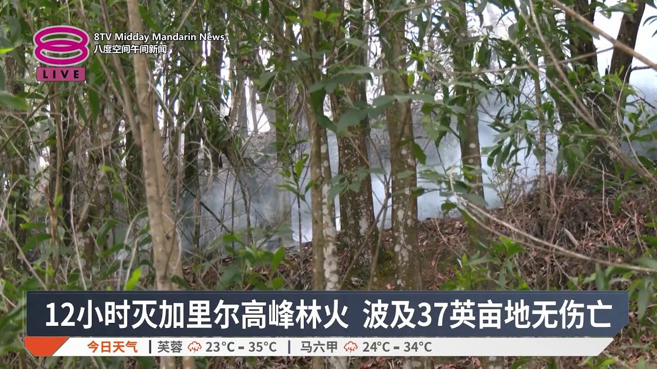 12小时灭加里尔高峰林火 波及37英亩地无伤亡【2026.03.12 八度空间午间新闻】