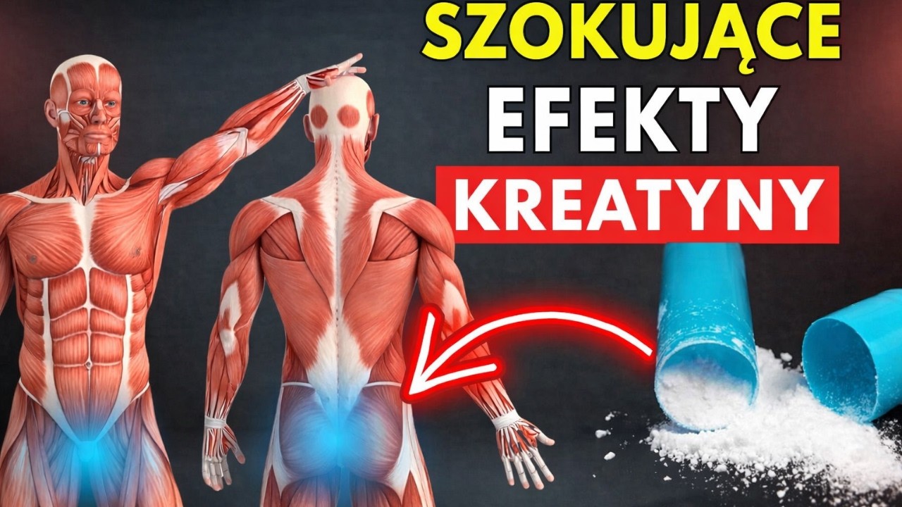 10 zmian, które zachodzą w Twoim organizmie, gdy przyjmujesz 5 g kreatyny dziennie