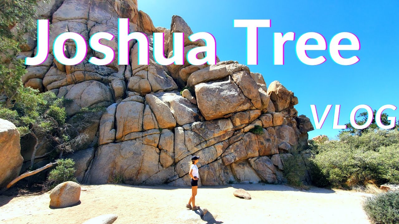 Joshua Tree National Park Vlog