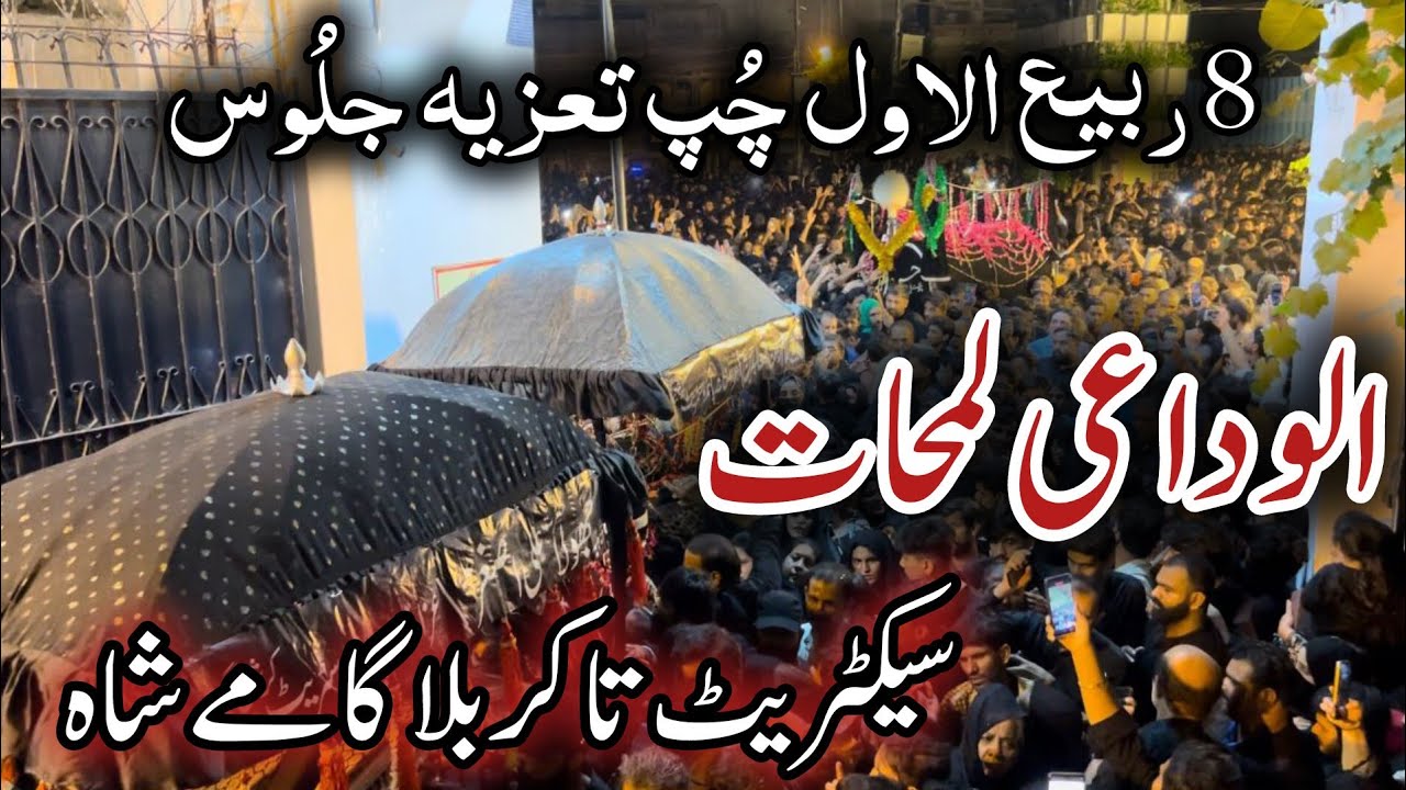 8 Rabi ul awal 2024 (Alwidai Zayarat) | Chup Taziya Juloos | Islampura to Karbala Gamy Shah Lahore |