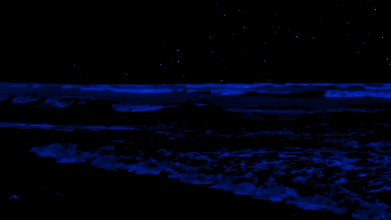 Insomnia Healing & Fall Asleep Easily with 24 Hours of Ocean Sound And Restful at Night
