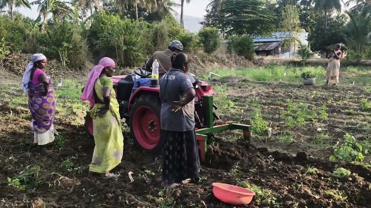 Mahindra jivo 4wd 28hp மஞ்சள் வெட்டும் இயந்திரம்