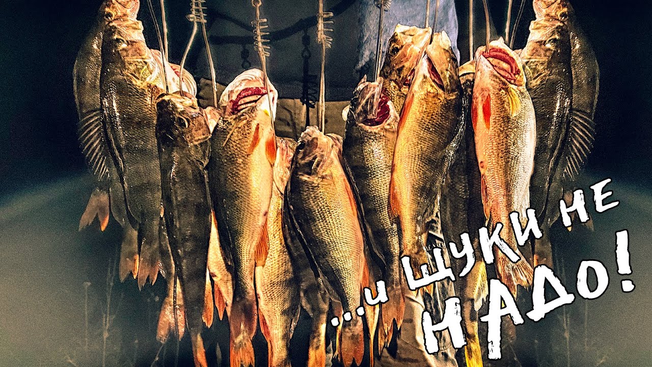 НОЧЬ - ВРЕМЯ ТОЛСТЫХ ОКУНЕЙ! ТАКОЙ РЫБАЛКИ У МЕНЯ ЕЩЁ НЕ БЫЛО!