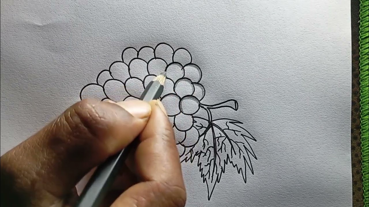 How to Draw Grapes Easily With Pen || Easy Grapes Drawing Technique 🍇🍇