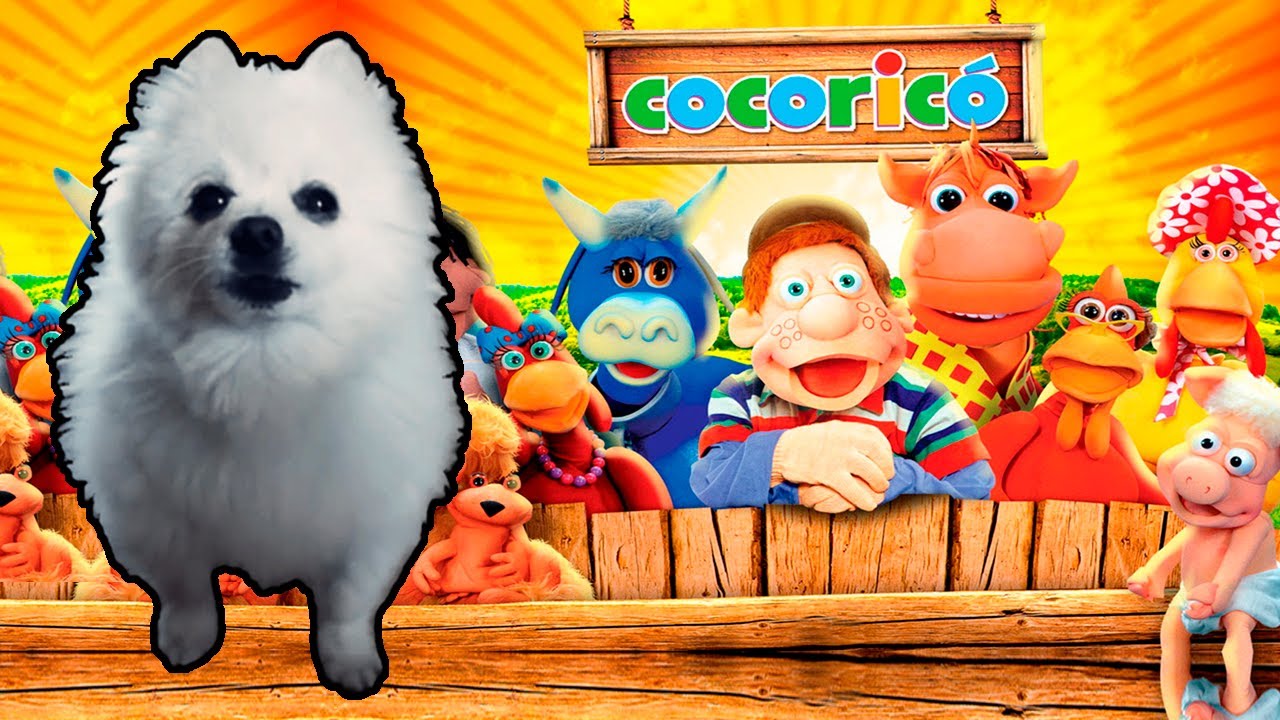 Cocoricó em cachorrês | NOSTALGIA