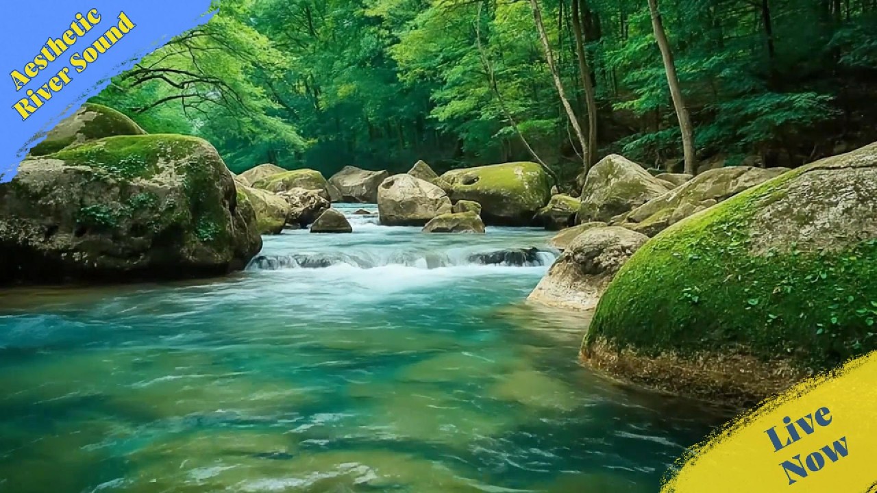 Entering Your Soft Era ☁️ Gentle River ASMR, nature sounds for sleeping