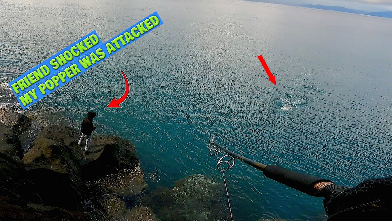 POPPING coral cliffs on the edge | If there are predatory fish, just brush it off using a big POPPER