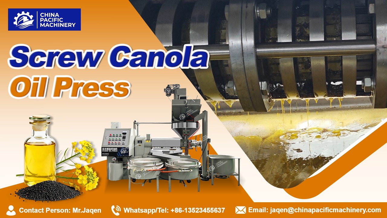 Canola Oil Extraction|Cold Oil Press Machine|Rapeseed/Canola Oil Press Machine|Canola Oil Expeller