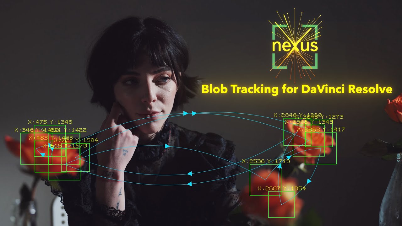 Blob Tracking Effect for DaVinci Resolve - DCTL Plugin
