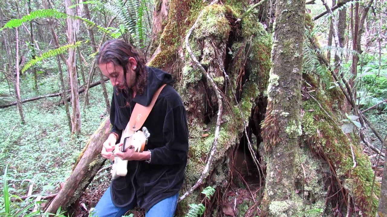 "Song told by a tree" One Cloud/Andrew Aged