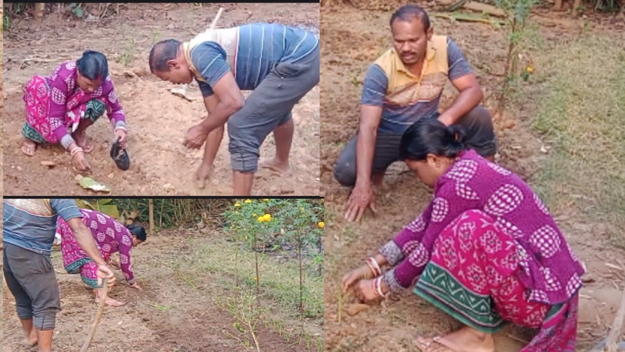 Balge re ched dareko rohoy huyna🤔✅//santali vlog //vlog video 