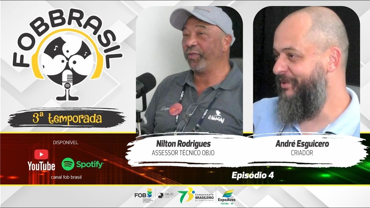 Podcast FOB Brasil – 3ª temp • ep. 4 – Criação de Bico Torto é permitida por Lei?