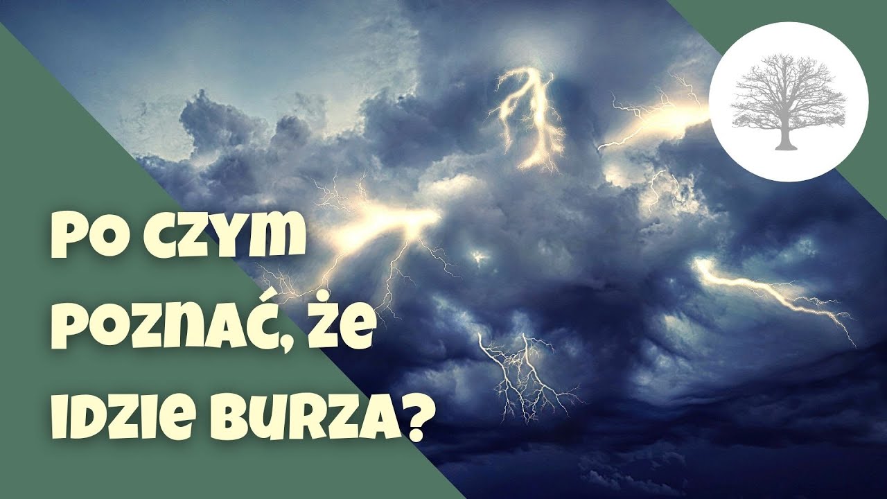 Jak powstają BURZE I PIORUNY?