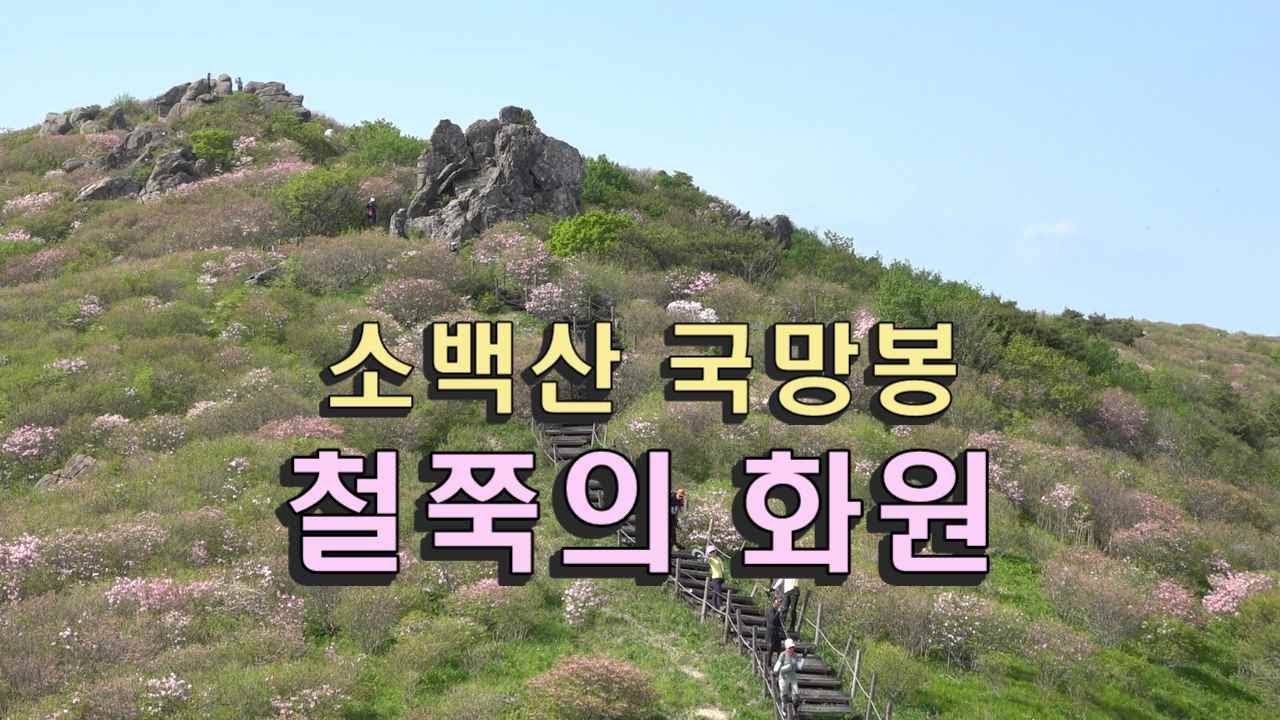 소백산 국망봉 철쭉 / 계단지옥에 빠진 날, 천상의 화원을 만나다 / 초암사 코스 등산 5 km