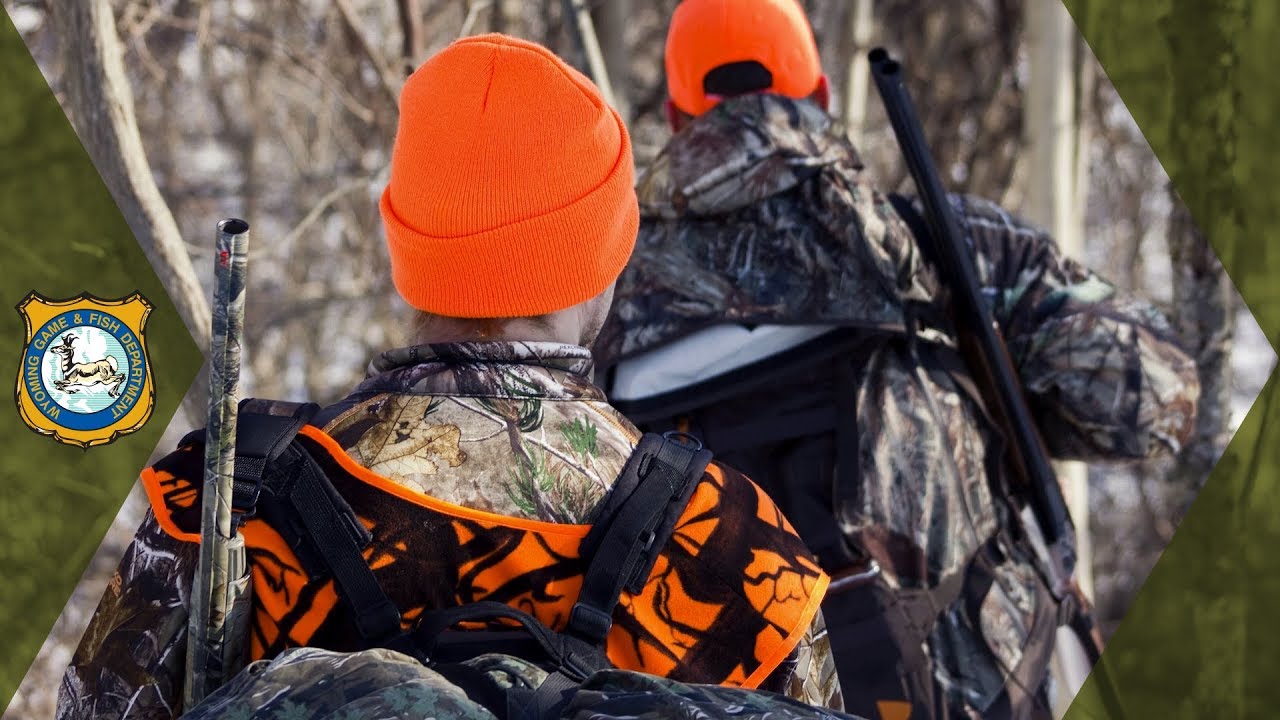 Wyoming Hunter Orange Requirements