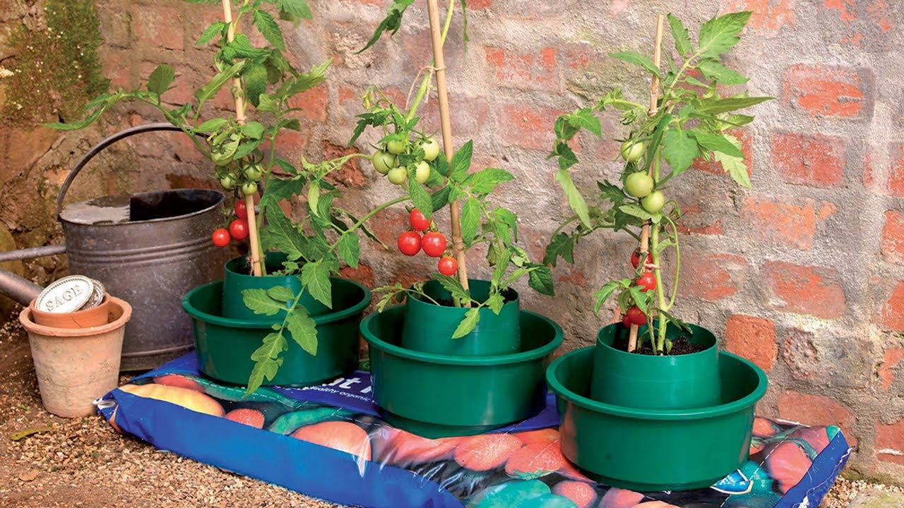 Mini Growpot