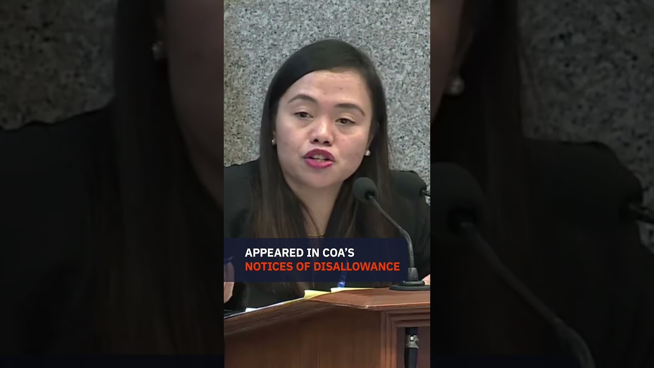 'Funny' names in confidential funds receipts not issue for COA &ndash; Sara Duterte's defense