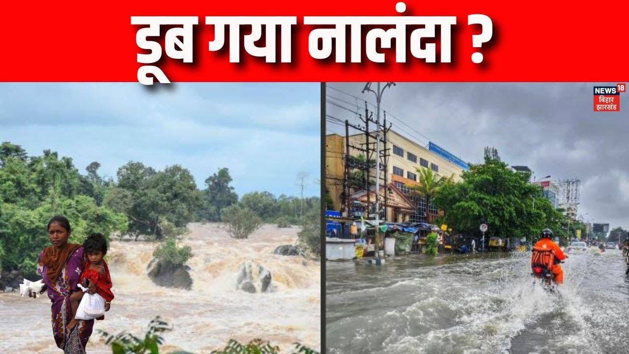 Bihar Flood News : डूब गया नालंदा ? | Bihar News | Bihar Flood | Weather News | Latest News | Flood