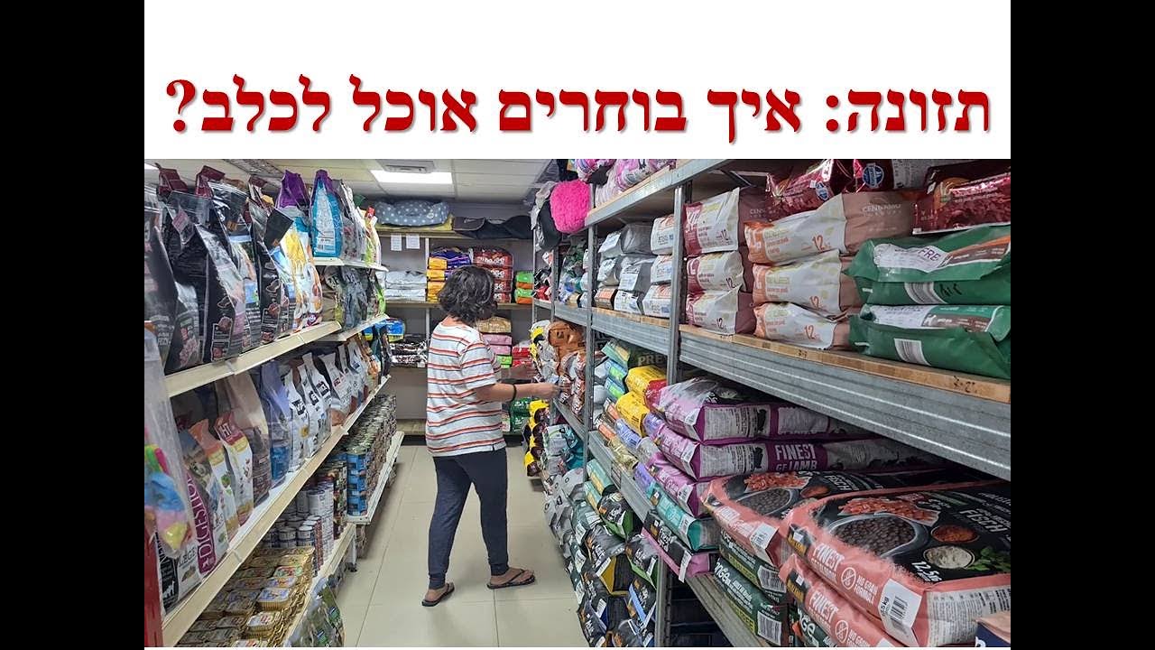 המדריך לבעלי כלבים מתחילים - תזונה: איזה אוכל, כמה, מתי? | דנה שריד חמו | אימון כלבים בצפון