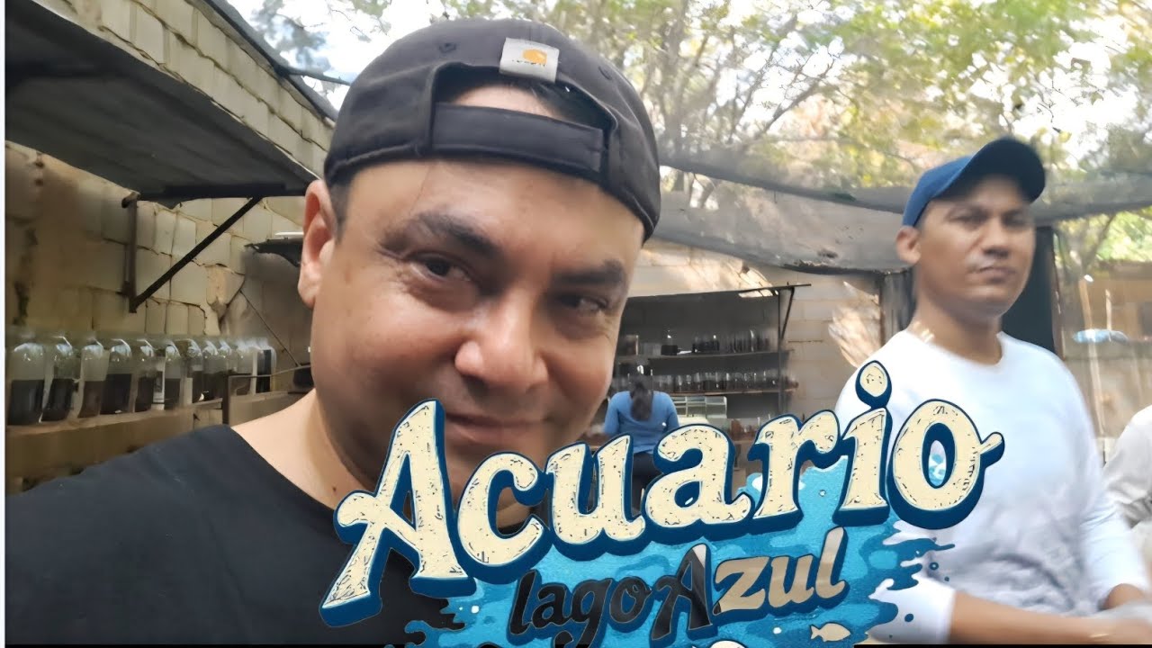 Acuario Lago Azul 2026 - Gente Betta Venezuela Dorman 