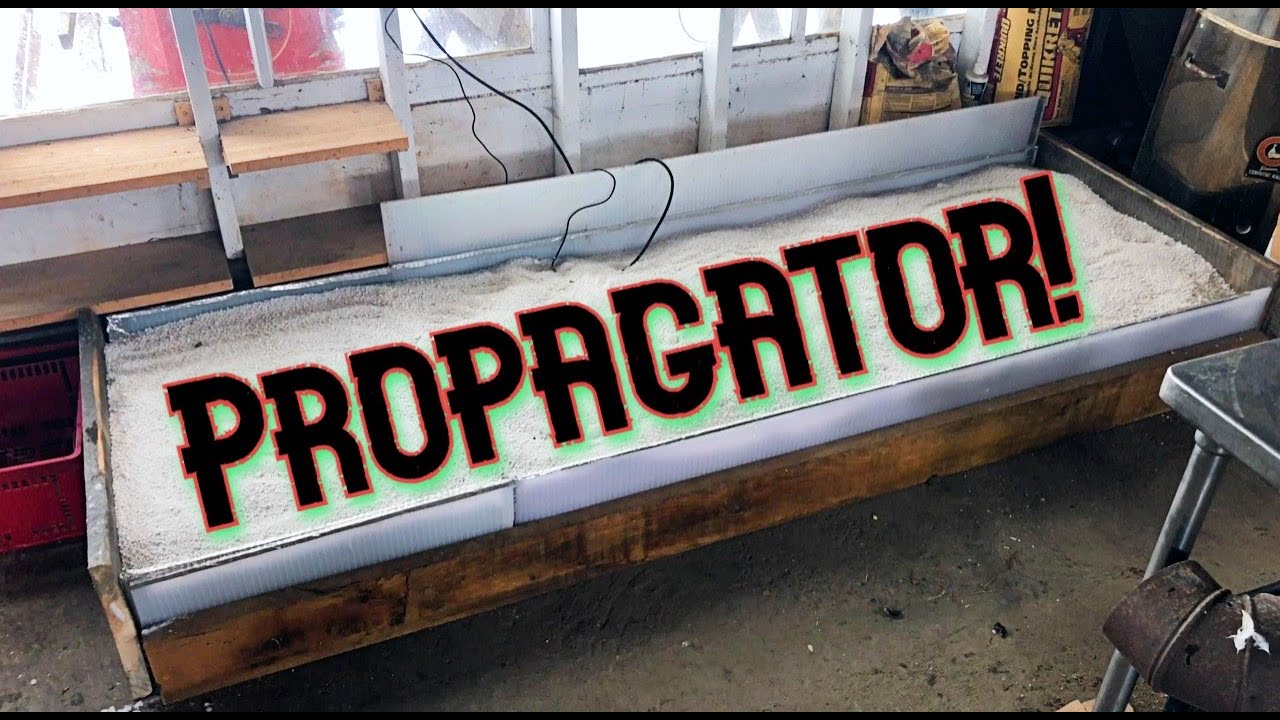 Bottom Heat Propagator - 2021 Edition