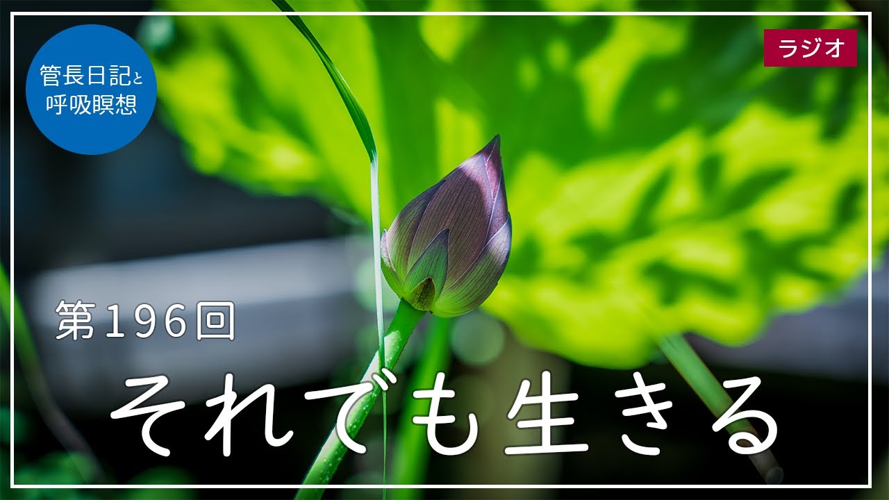 第196回「それでも生きる」2021/7/21【毎日の管長日記と呼吸瞑想】｜ 臨済宗円覚寺派管長 横田南嶺老師
