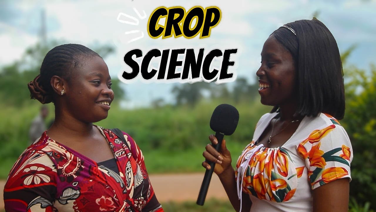 Studying Crop Science in Nigeria: Job Opportunities & Challenges of the Course