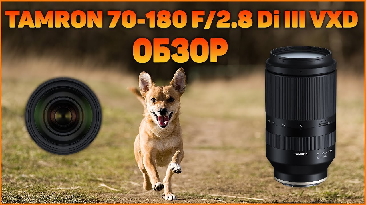 Полный обзор и тест Tamron 70-180 F/2.8 Di III VXD для Sony