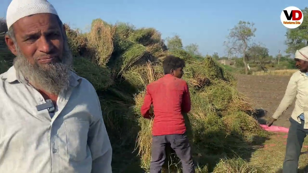Punjabs Reinforce Thresher New Model 2022 || Working with Sonalika DI 740 Tractor