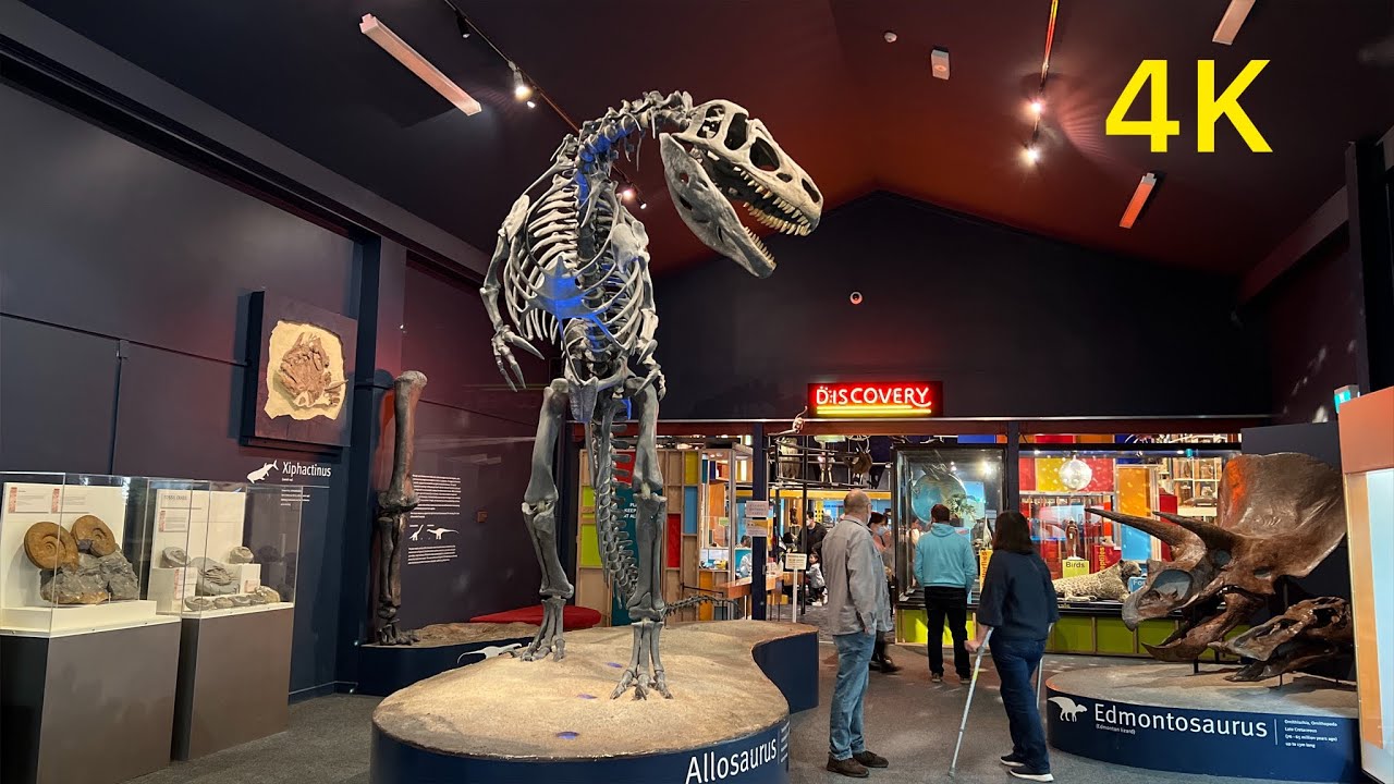 Canterbury Museum-Christchurch New Zealand.
