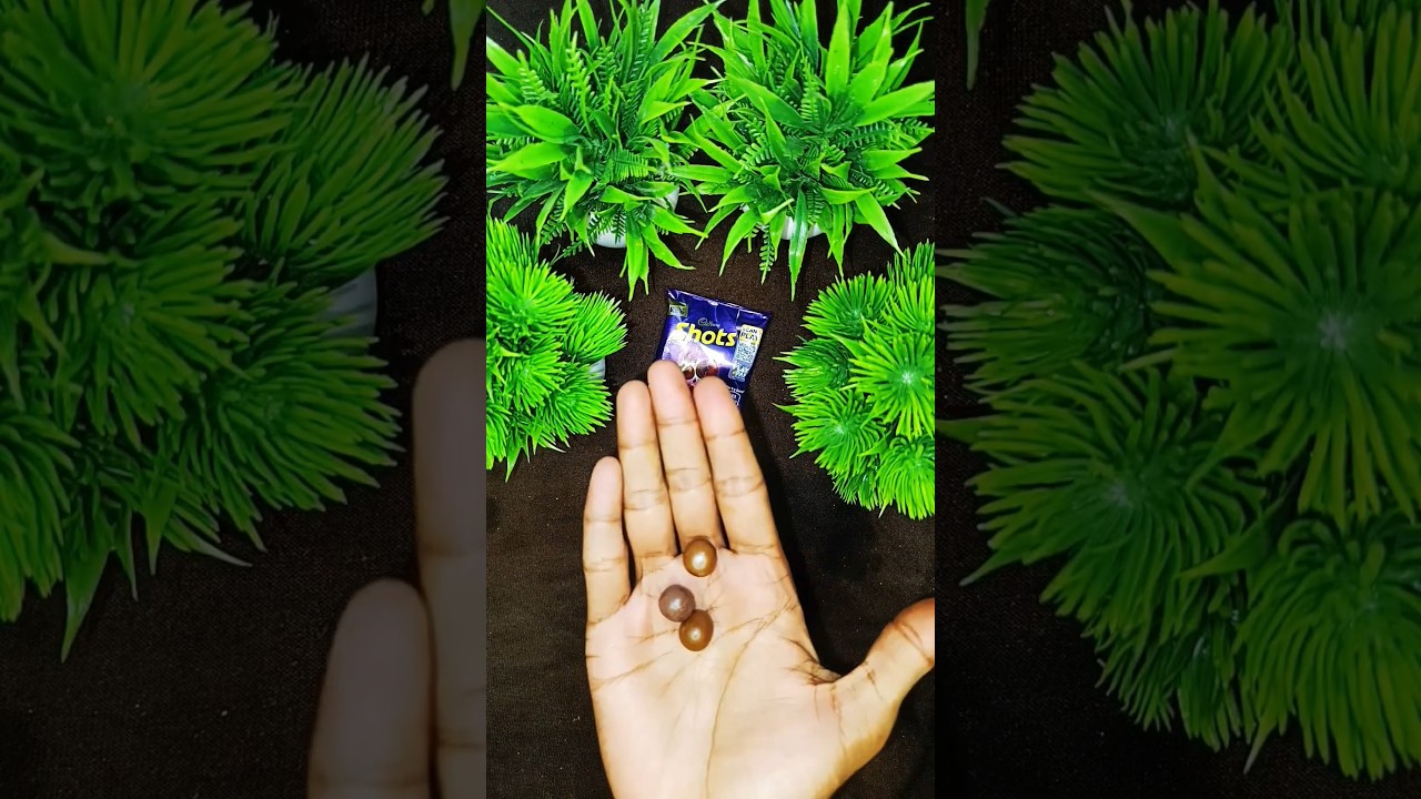 Cadbury 🛟 Shots #youtubeshorts #unboxing